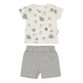 Set 2 pezzi C0290 Grigio melange